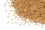 Organic Sprouted Sorghum - Image 3