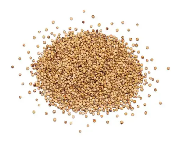 Organic Sprouted Sorghum