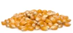NEW Organic Yellow Butterfly Popping Corn kernels in a wooden bowl showing premium quality