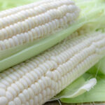 White Corn (Maize) - Image 3